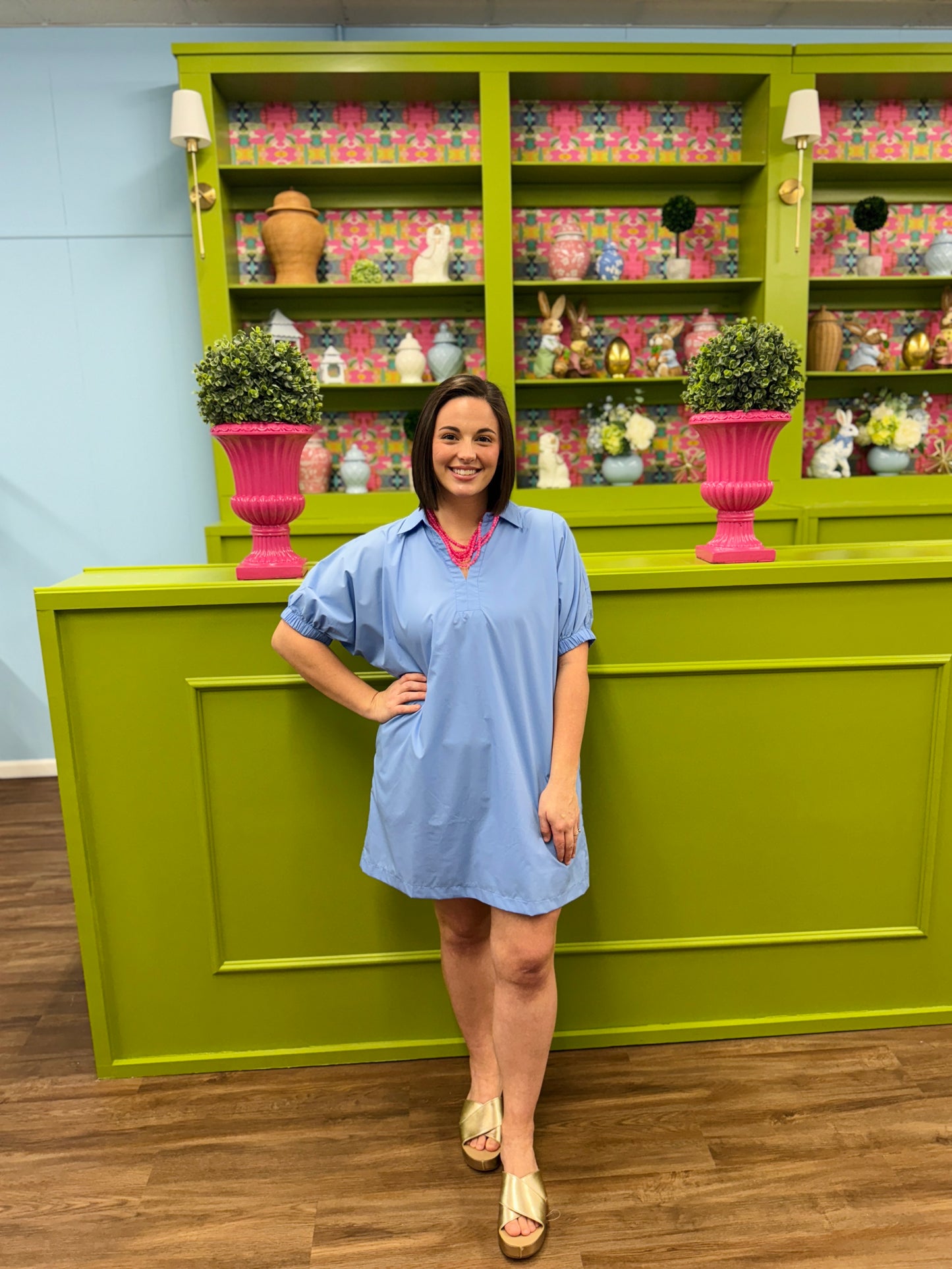 Simply Chic Blue Dress