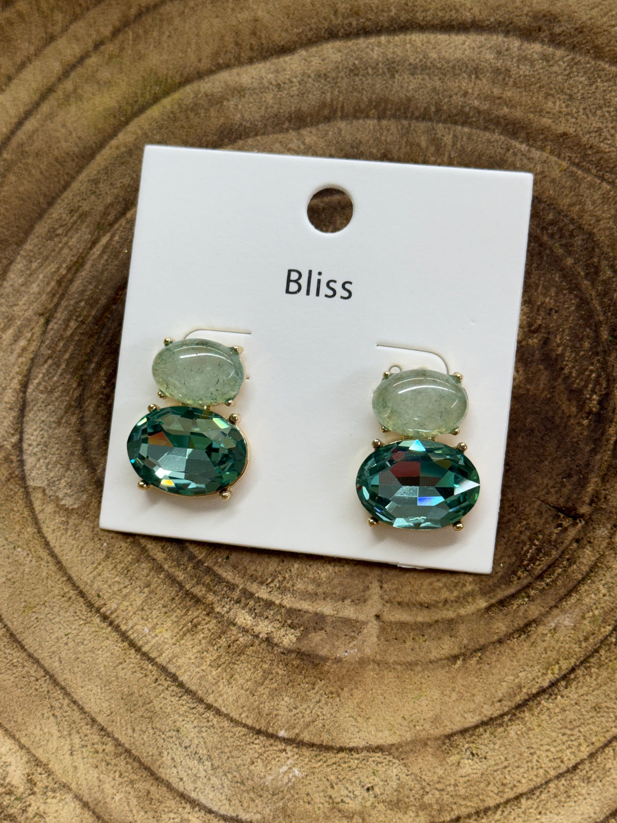Scarlet Earrings-Blue/Green
