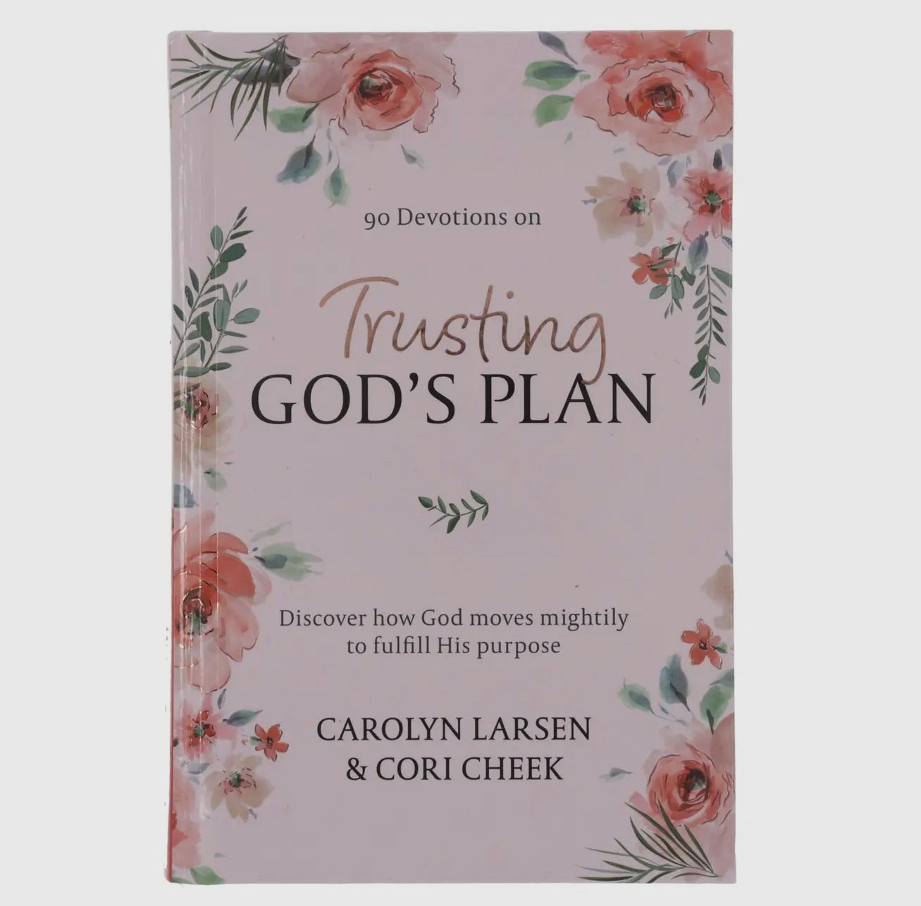 Trusting God’s Plan Devotional