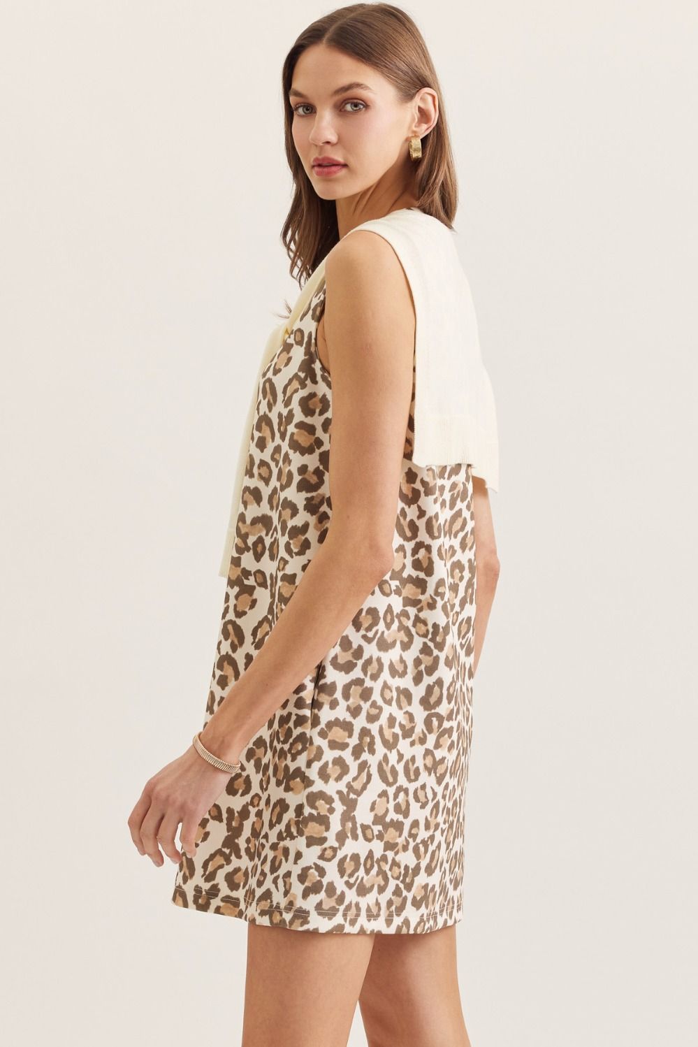 Sunday Stroll Dress-Leopard