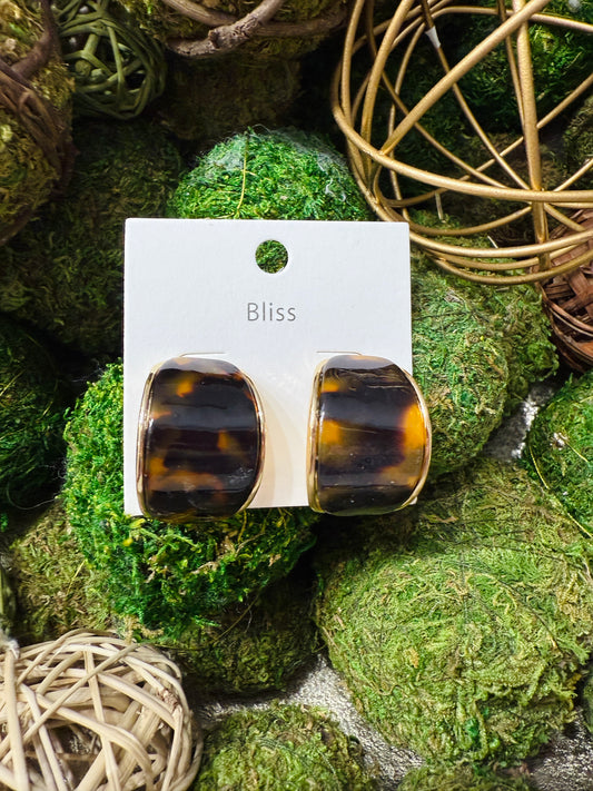 Tortoise Earrings