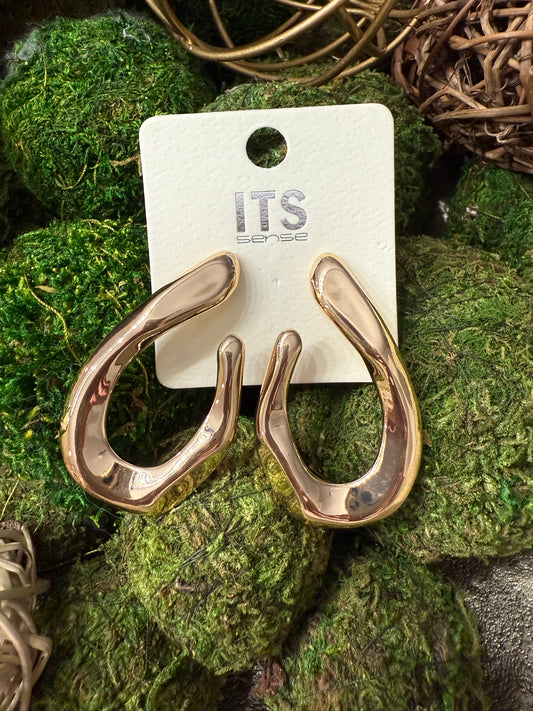 Shiny Gold Oval Earrings