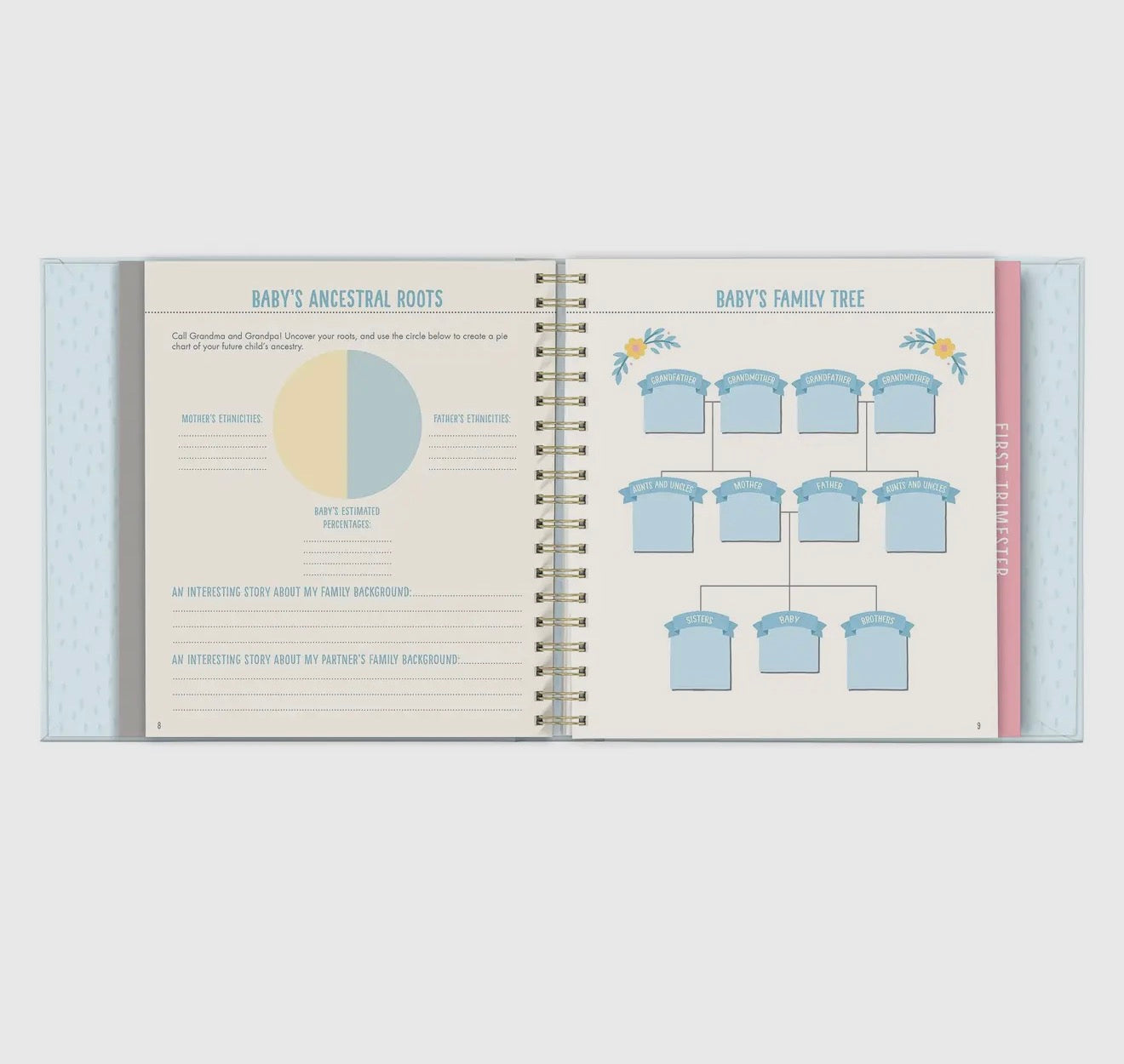 Blue Bump For Joy: A Pregnancy Journal