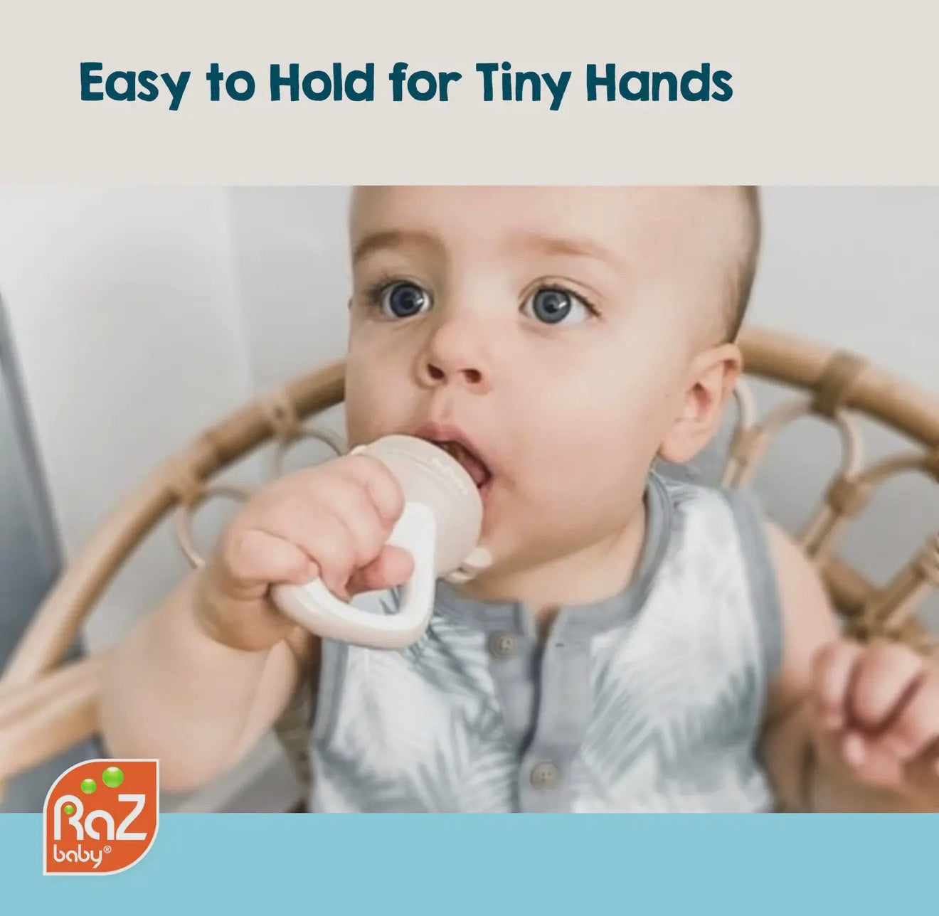 Raz Fruit Feeder & Teether