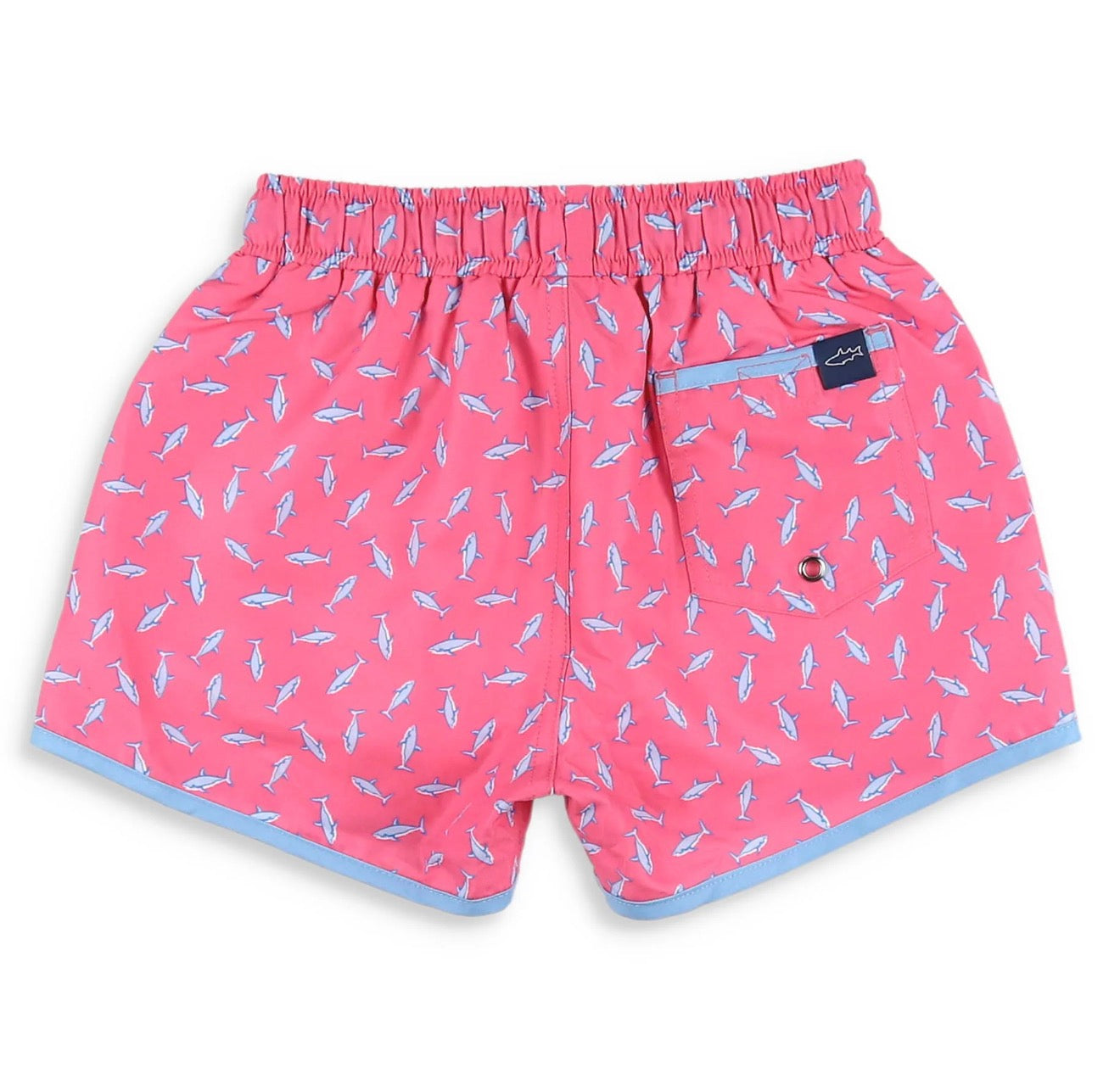 Shark Banded Boardies