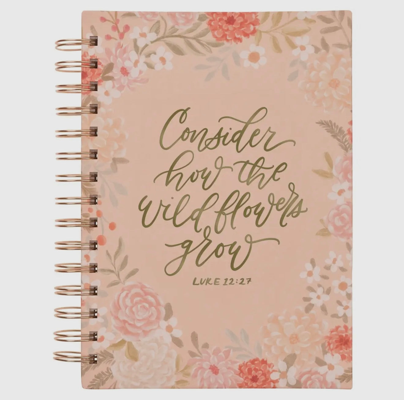 Luke 12:27 Journal