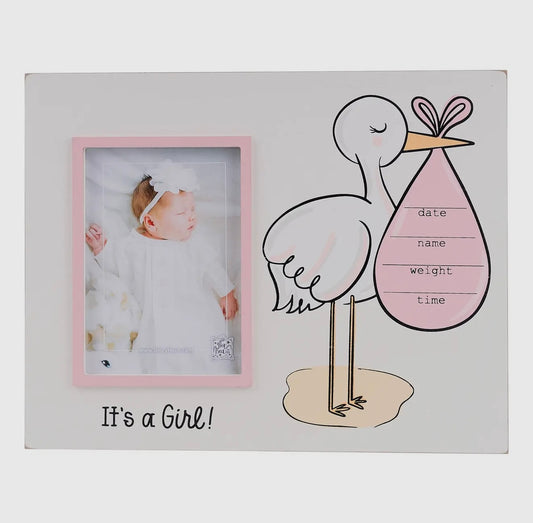 Stork It’s A Girl Frame