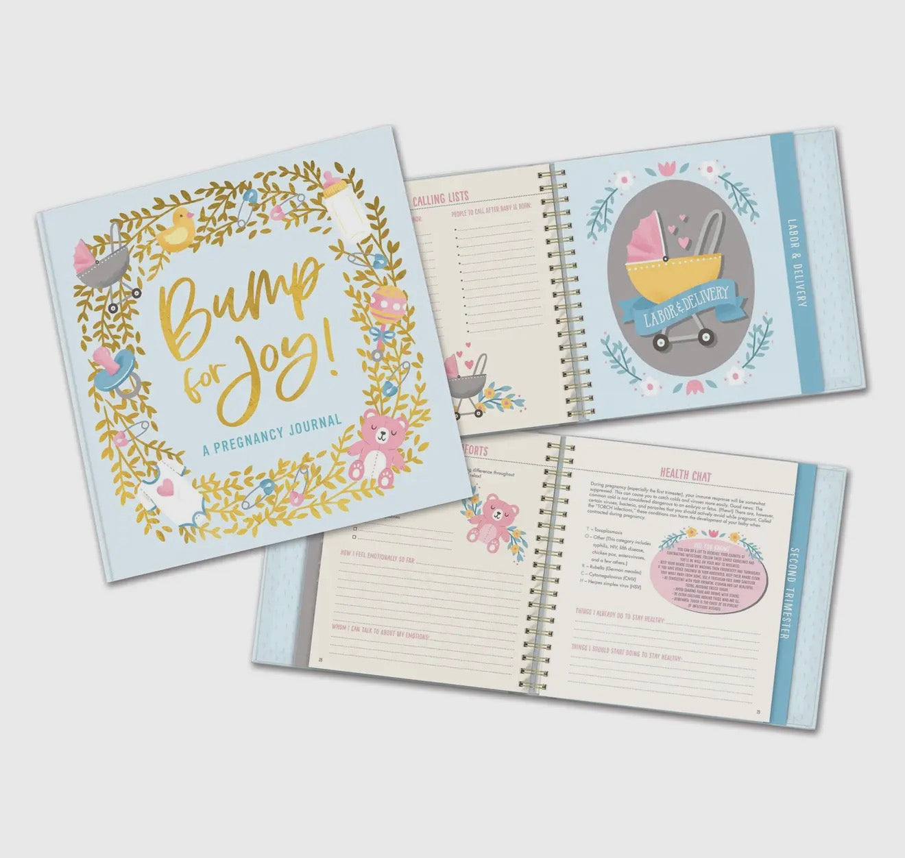 Blue Bump For Joy: A Pregnancy Journal