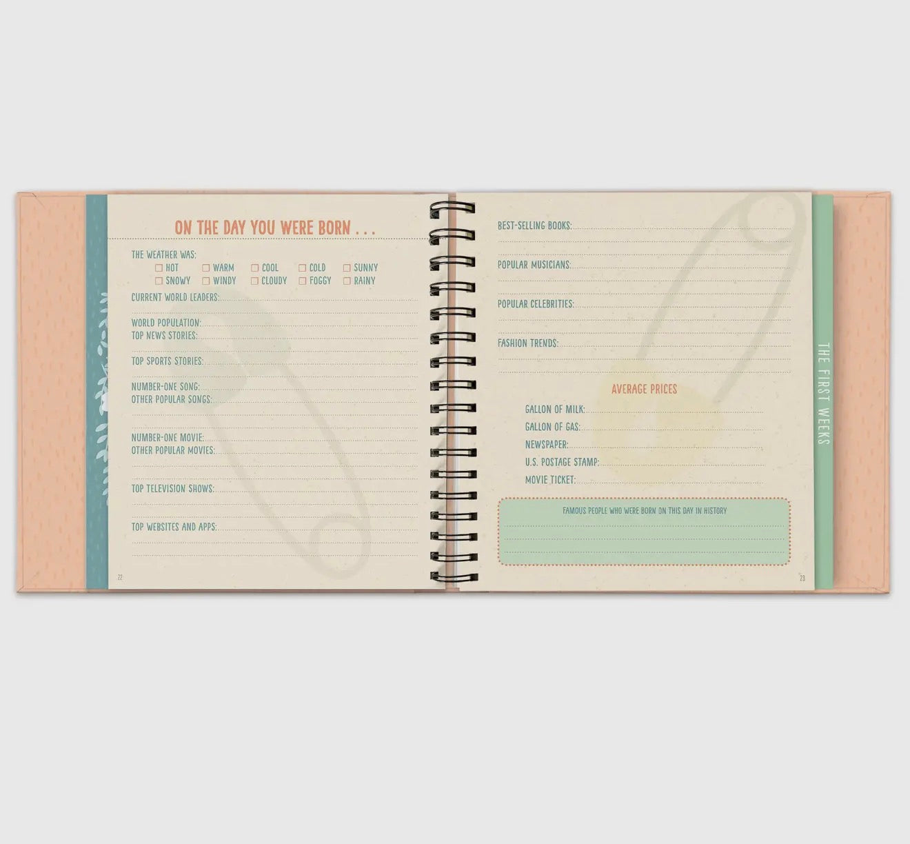 Bundle of Joy - A Memory Journal For Baby’s First Years