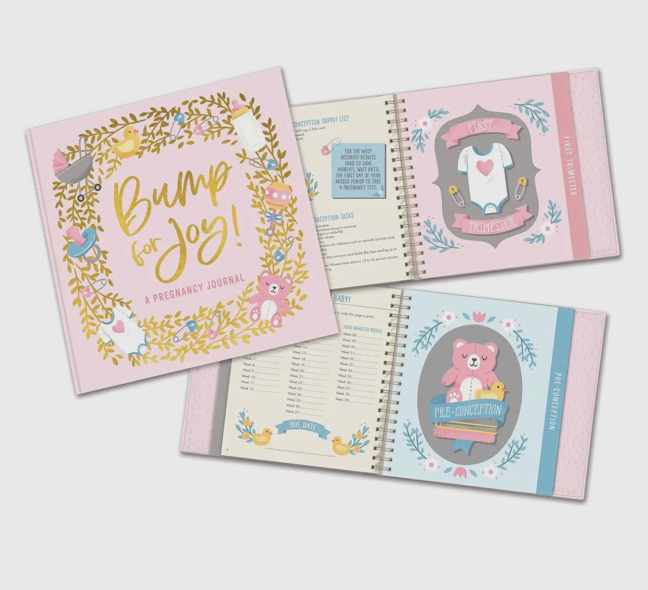 Pink Bump For Joy: A Pregnancy Journal